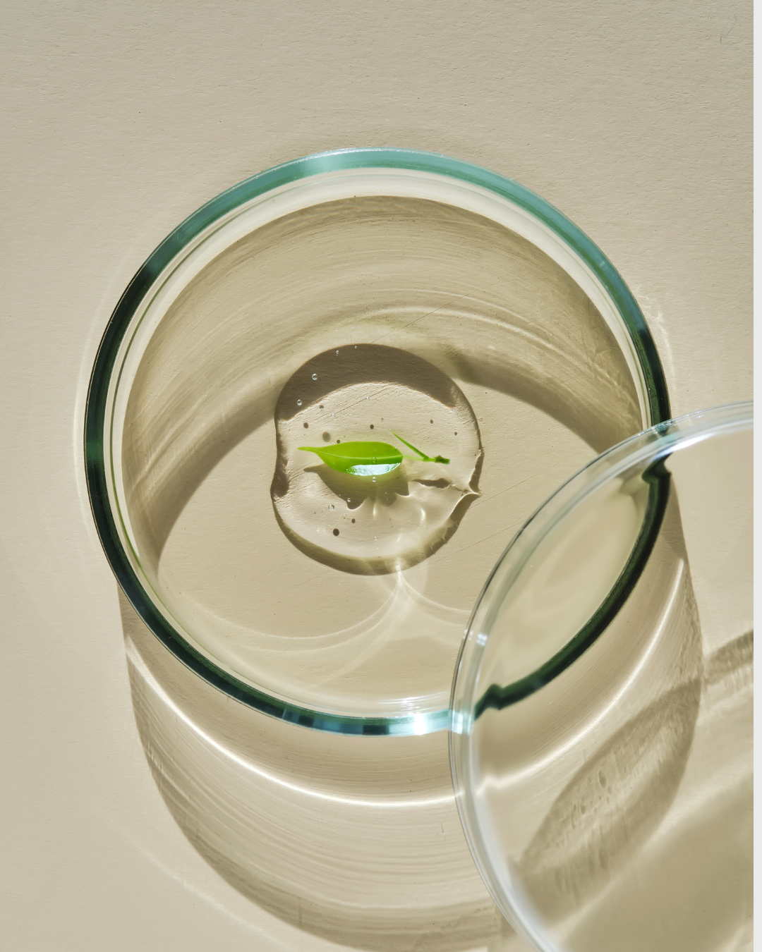 Barrier Repair Isn’t Enough: Healing Skin at the Nerve Level